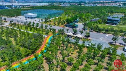 15秒短視頻與《三泉溪暖》一起登上山東衛視