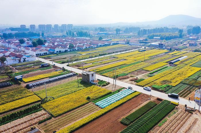 鄒平市好生街道圍繞打造省級鄉村振興齊魯樣板示范區持續發力